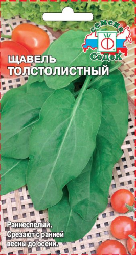 Щавель Толстолистный 