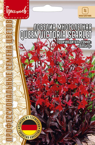 Лобелия Queen Victoria Scarlet многолетняя