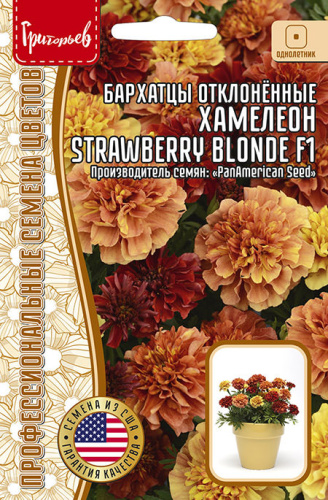 Бархатцы Хамелеон Strawberry Blonde F1