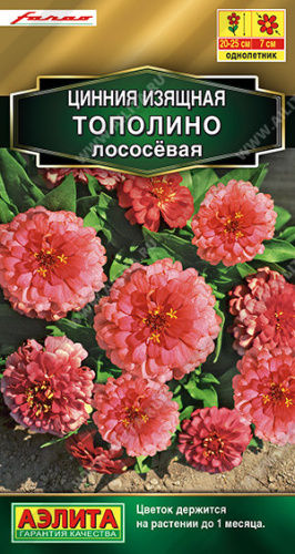 Цинния Тополино лососевая