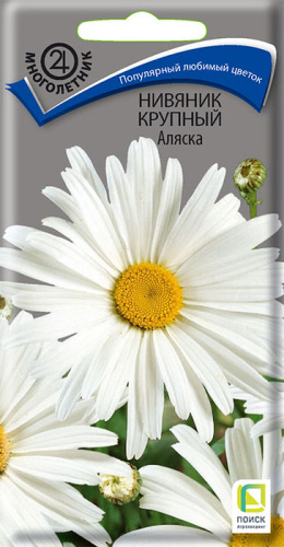 Нивяник Аляска крупный