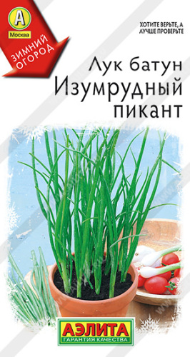Лук (батун) Изумрудный пикант  Зимний огород