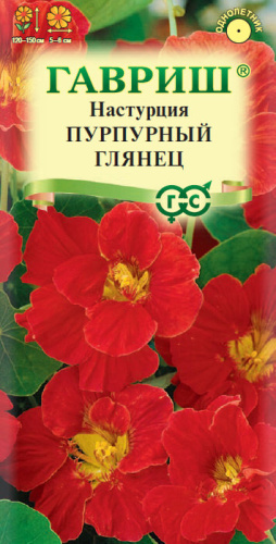 Настурция Пурпурный глянец махр. 