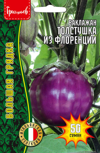 Баклажан Толстушка из Флоренции