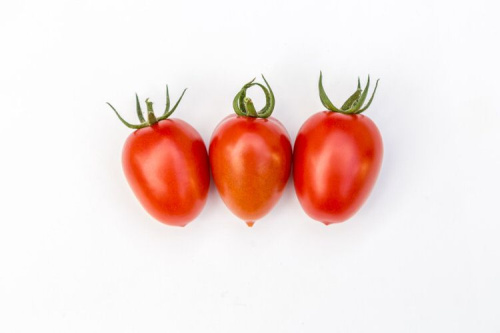 Элизабет F1 3