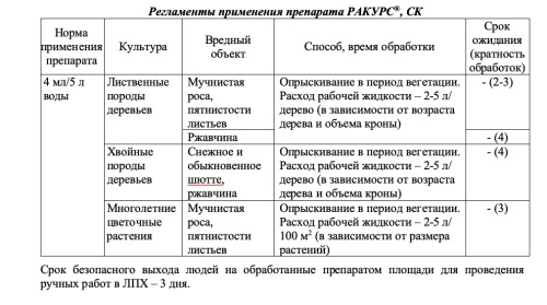 Ракурс 4мл пакет