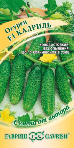 Огурец Кадриль F1 автор. корнишон