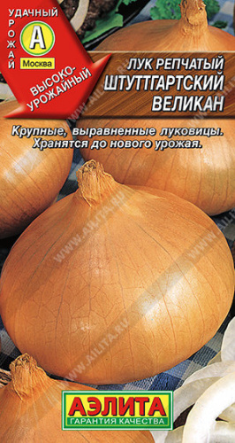 Лук (репчатый) Штуттгартский Великан