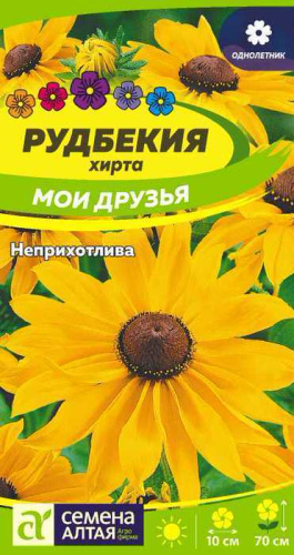 Рудбекия Мои Друзья 