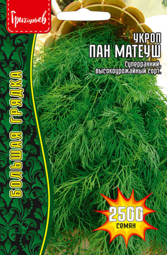Укроп Пан Матеуш (быстроотрастающий)