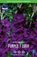Гладиолус XXL Purple Flora 14/16 /10шт купить
