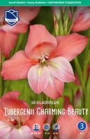 Гладиолус tubergenii Charming Beauty /10шт купить
