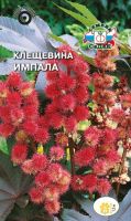 Клещевина Импала (обыкновенная, бордовый лист)  купить